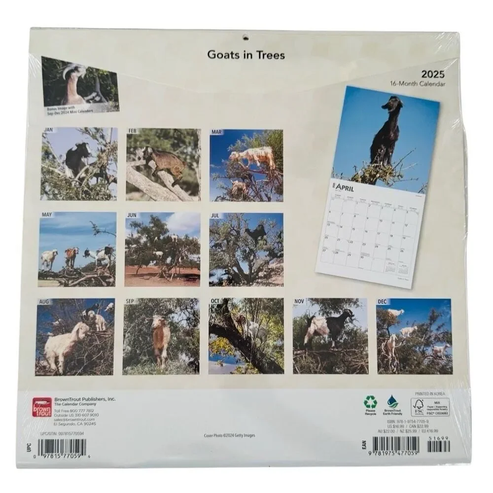 Brown Trout Goats in Trees 2025 12 x 12 Wall Calendar 16 month NEW